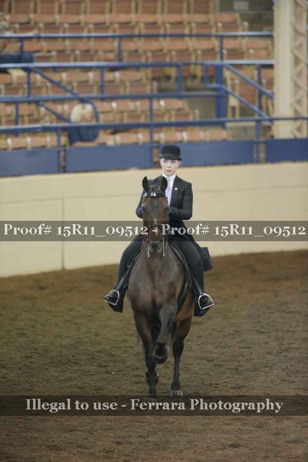 Proof 15R11_09512