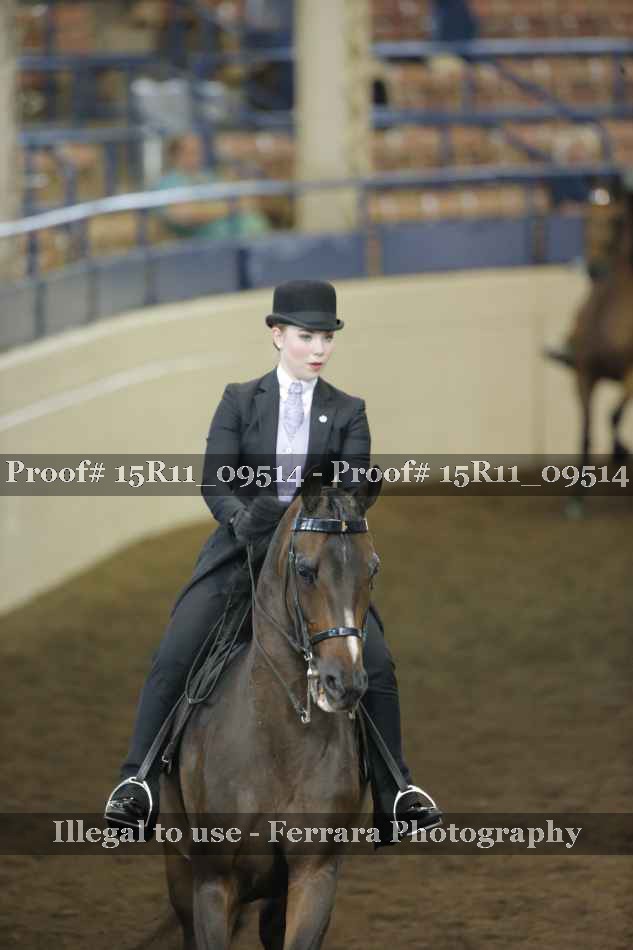 Proof 15R11_09514