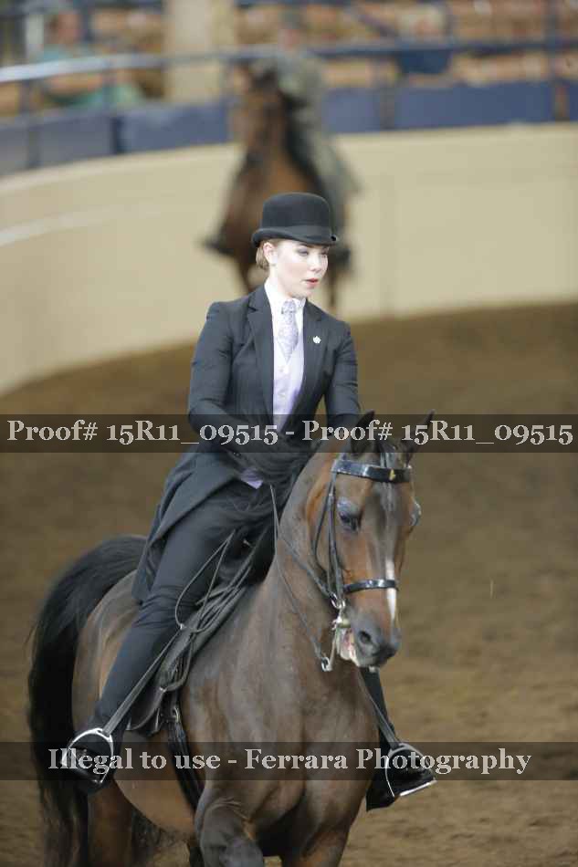 Proof 15R11_09515