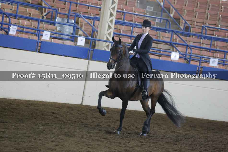 Proof 15R11_09516