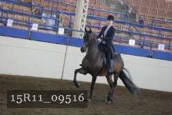 15R11_09516 proof