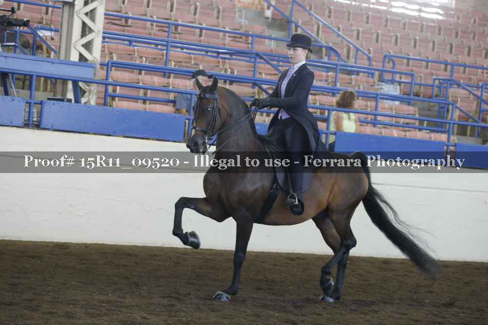 Proof 15R11_09520