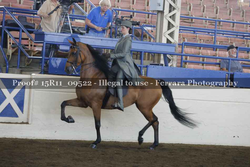 Proof 15R11_09522