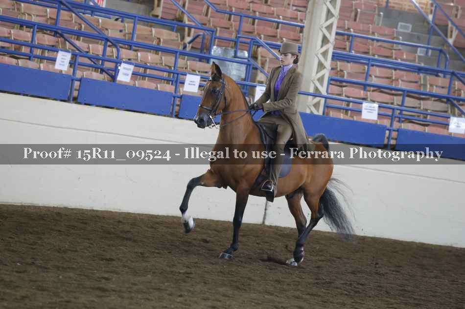 Proof 15R11_09524