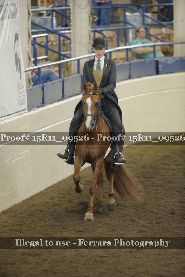 Proof 15R11_09526