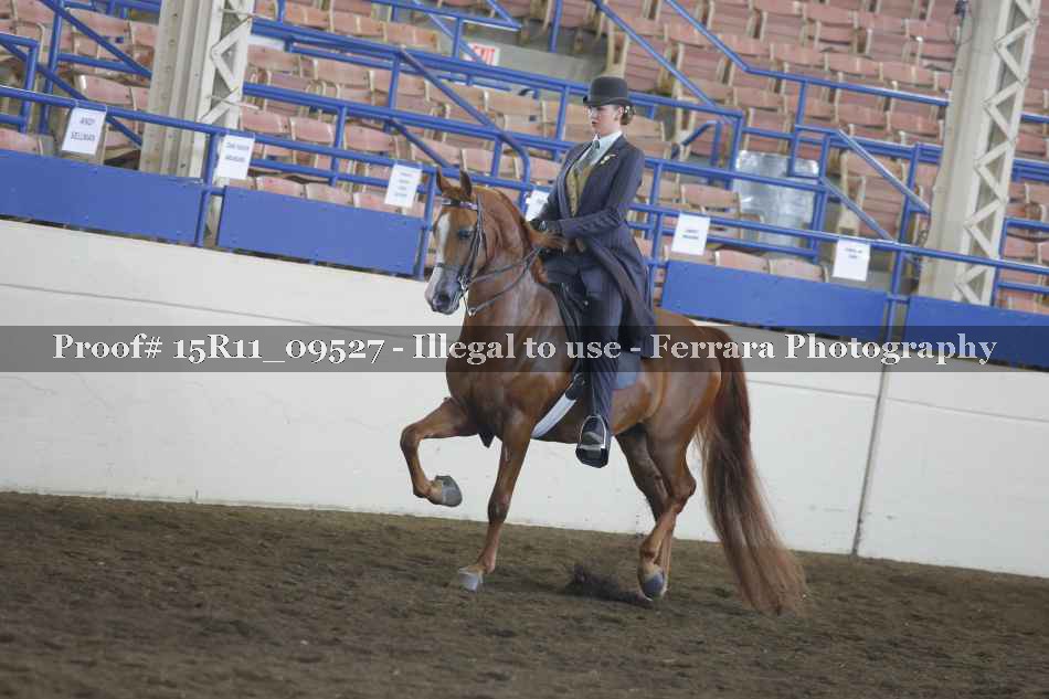 Proof 15R11_09527