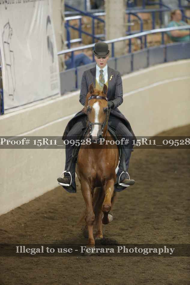 Proof 15R11_09528