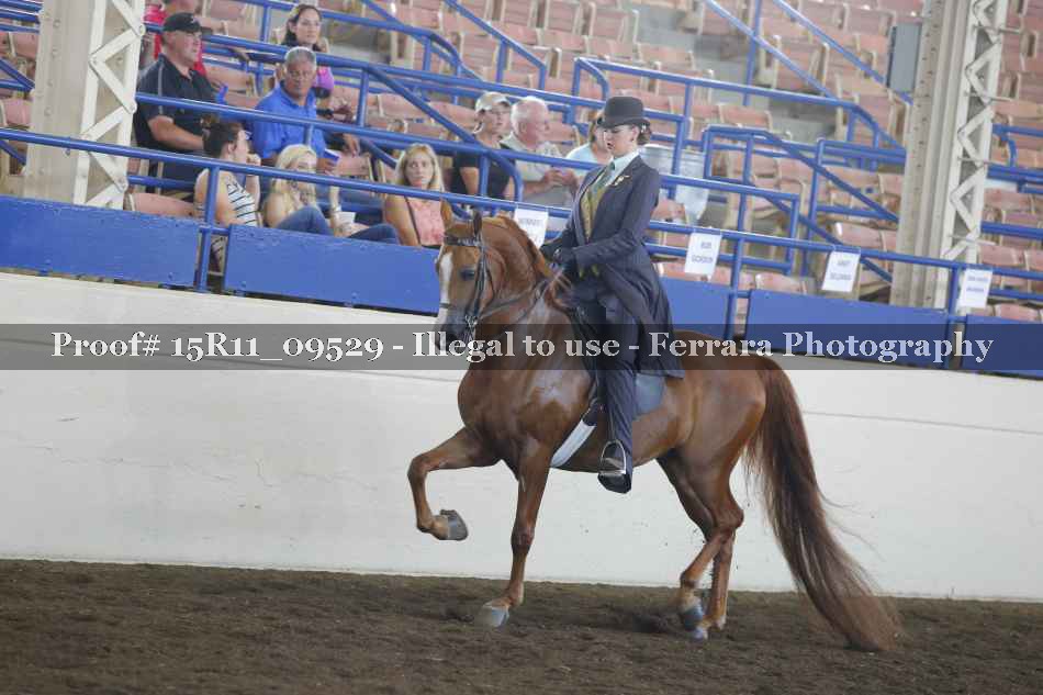 Proof 15R11_09529
