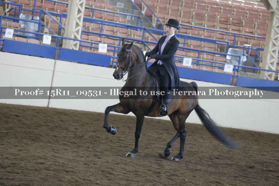 Proof 15R11_09531