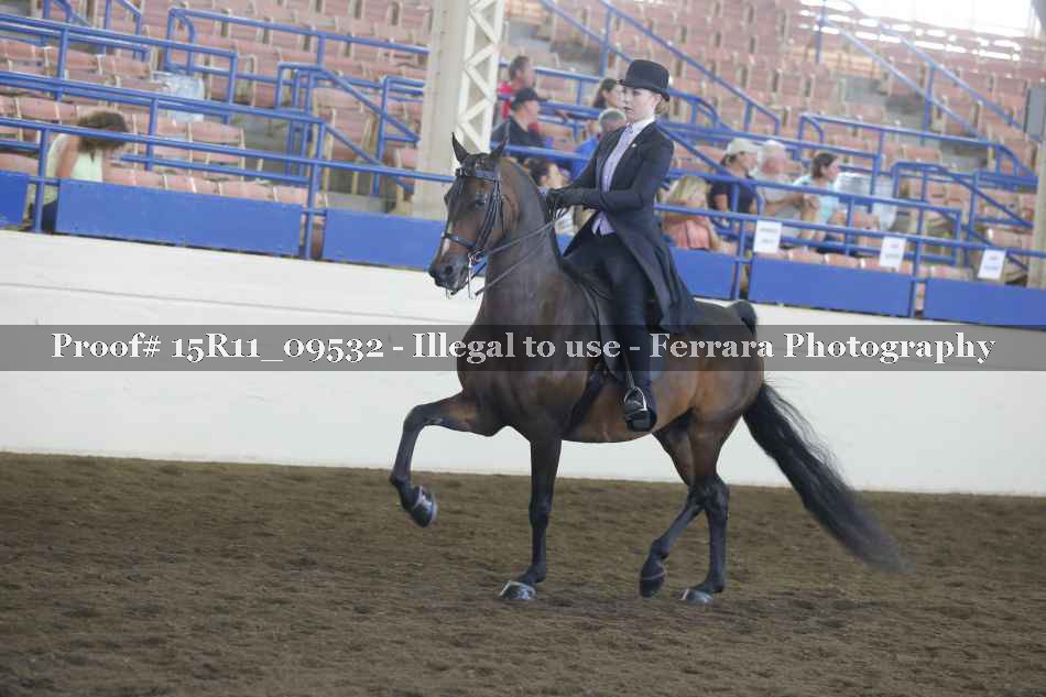Proof 15R11_09532