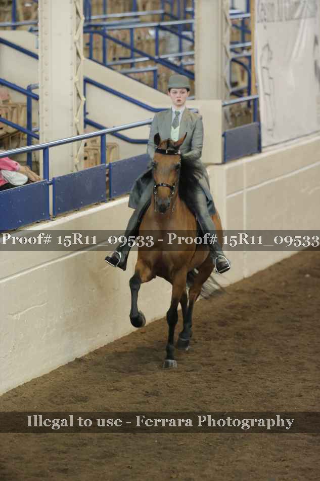 Proof 15R11_09533