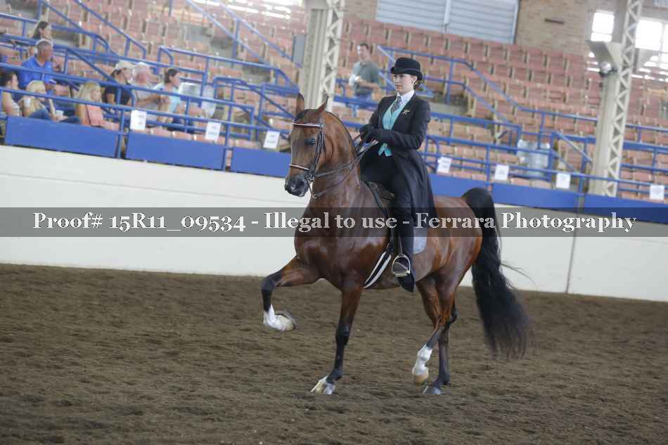 Proof 15R11_09534