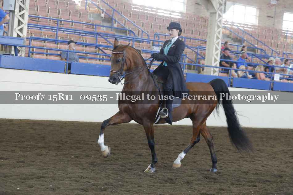 Proof 15R11_09535