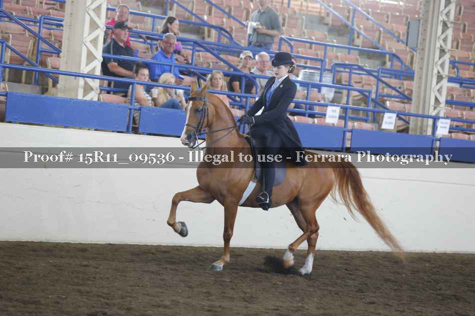 Proof 15R11_09536