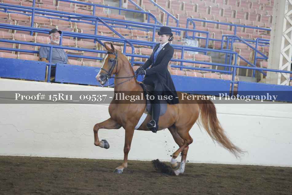Proof 15R11_09537