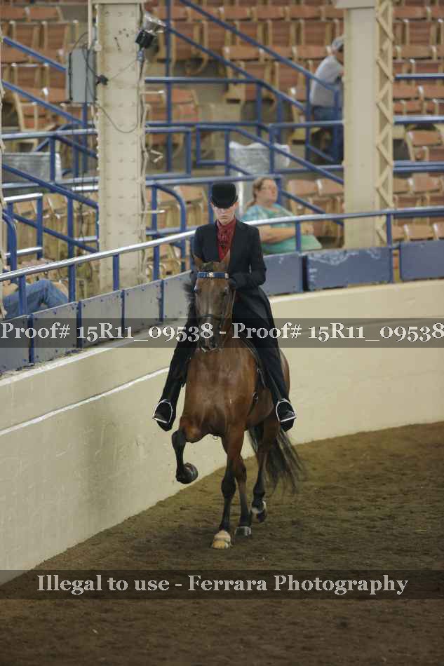Proof 15R11_09538