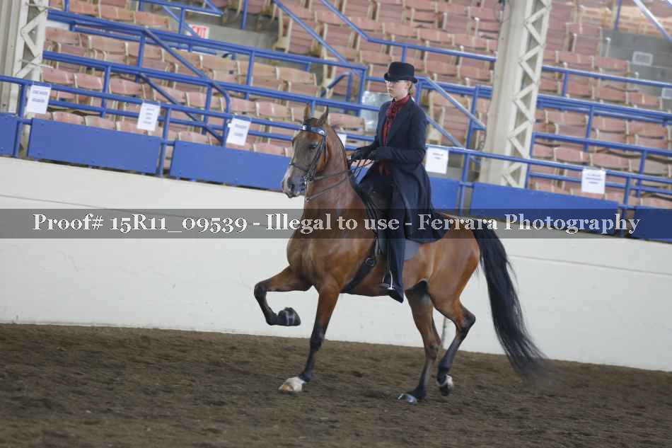 Proof 15R11_09539