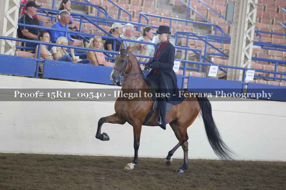 Proof 15R11_09540