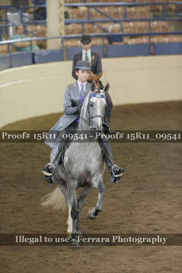 Proof 15R11_09541