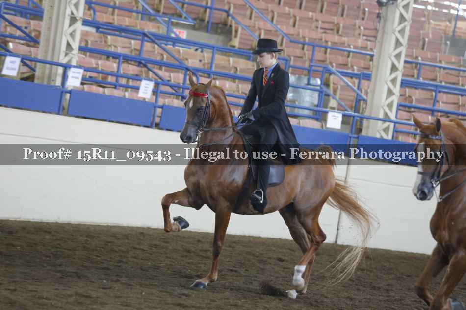Proof 15R11_09543