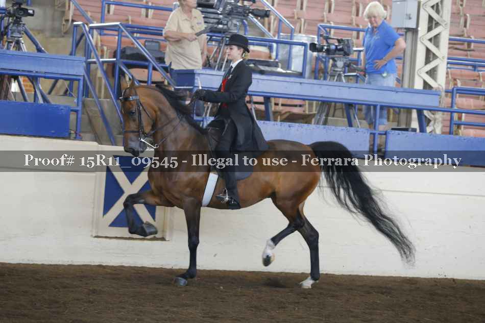 Proof 15R11_09545