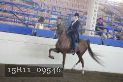15R11_09546 proof