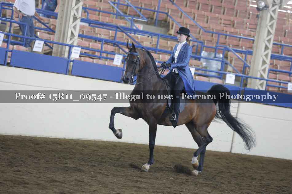 Proof 15R11_09547