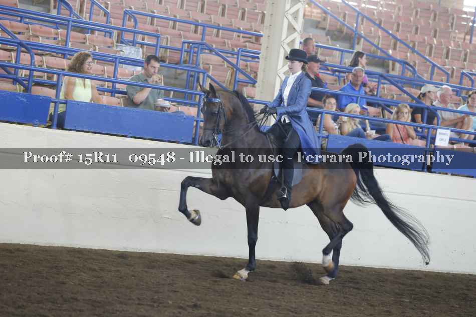 Proof 15R11_09548