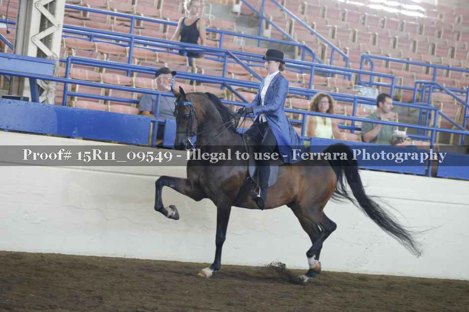Proof 15R11_09549