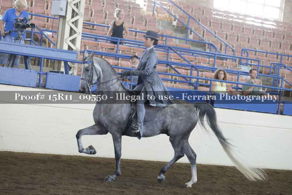 Proof 15R11_09550