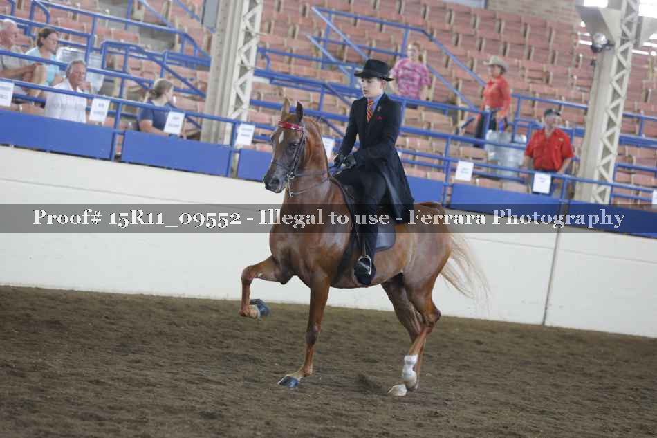 Proof 15R11_09552