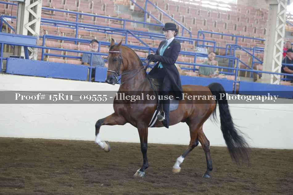 Proof 15R11_09555