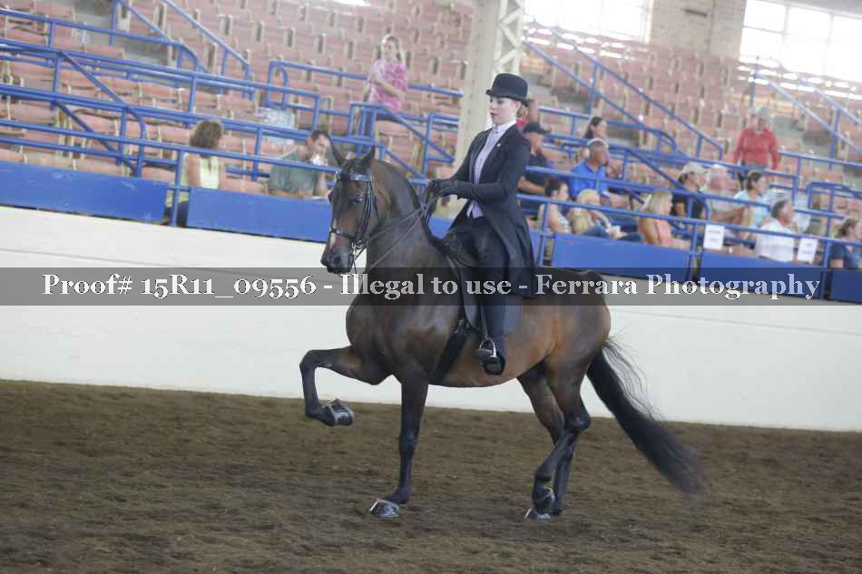 Proof 15R11_09556