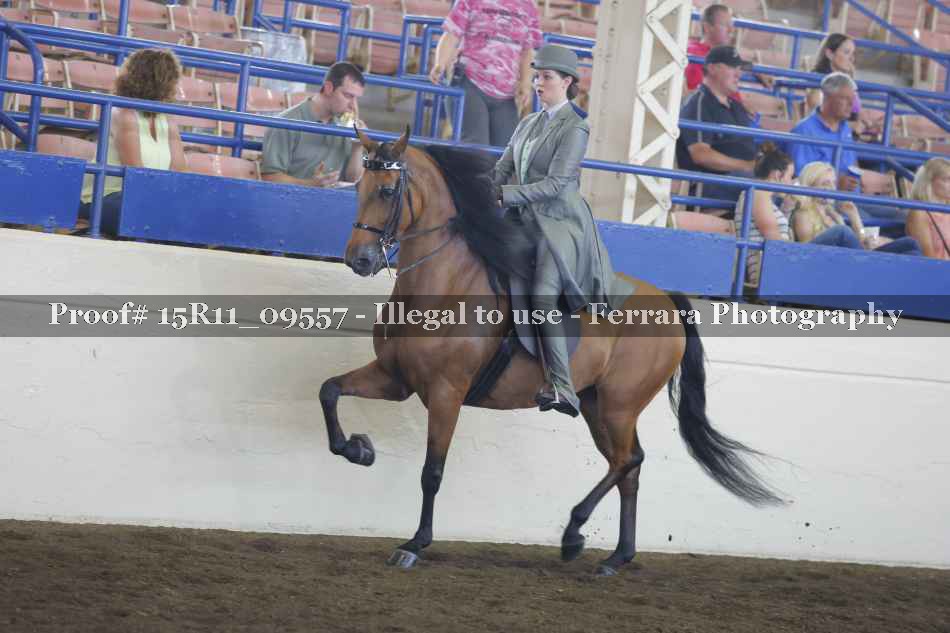 Proof 15R11_09557