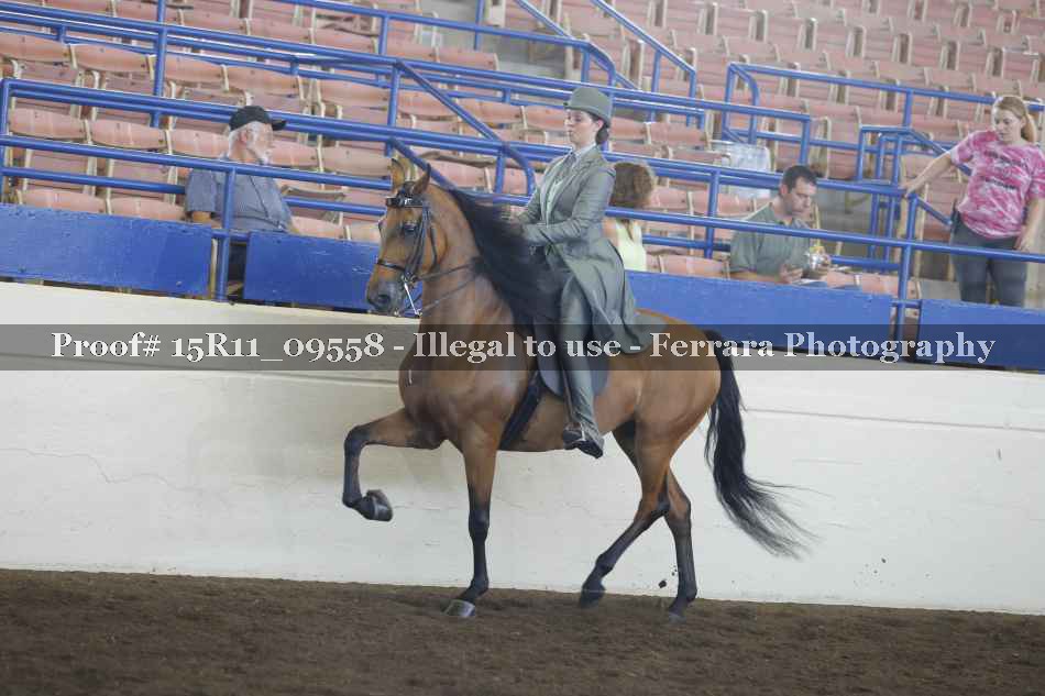 Proof 15R11_09558