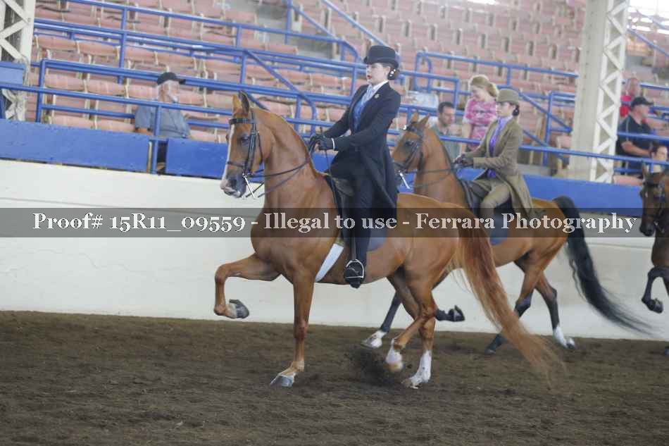 Proof 15R11_09559