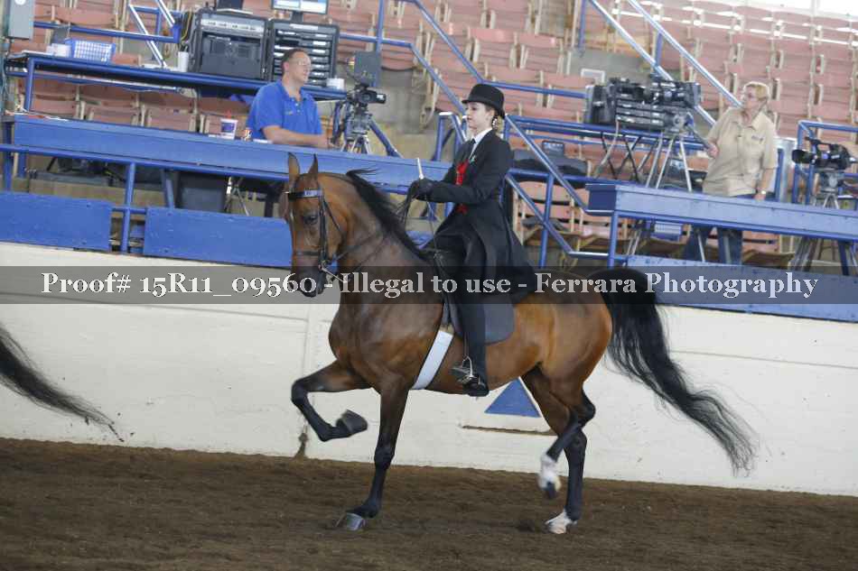 Proof 15R11_09560