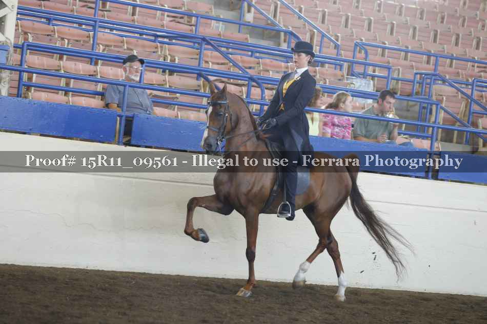 Proof 15R11_09561