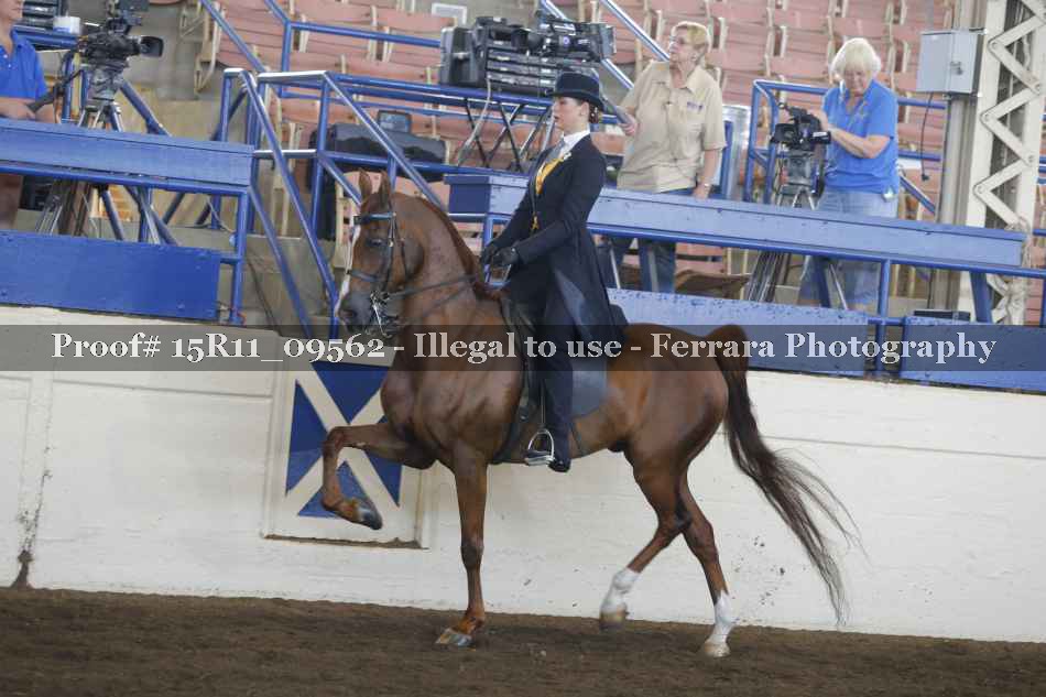 Proof 15R11_09562