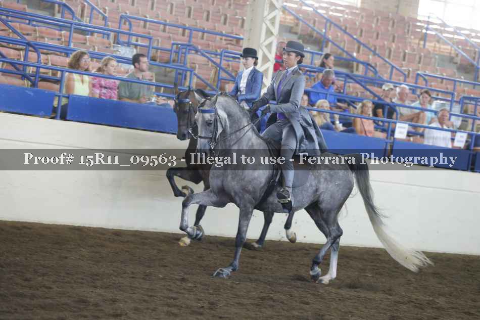 Proof 15R11_09563