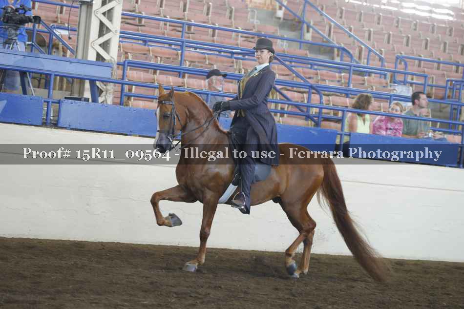 Proof 15R11_09564