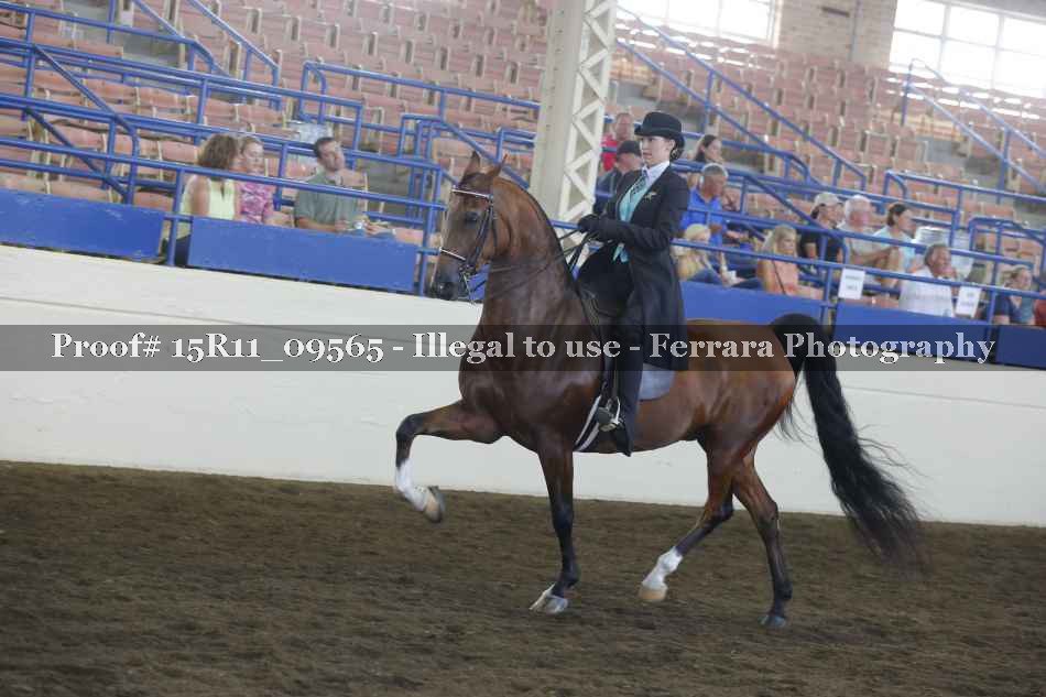 Proof 15R11_09565