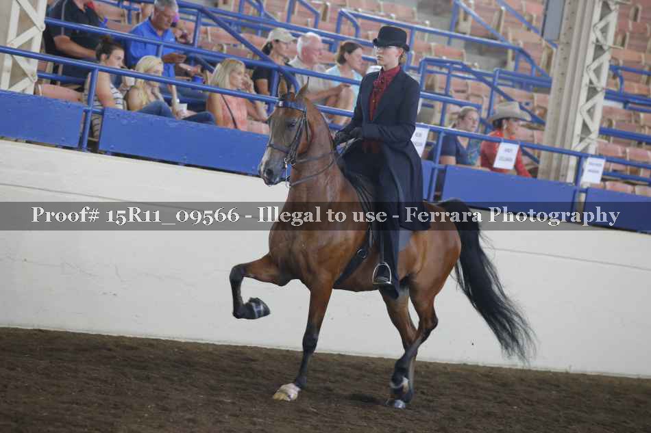 Proof 15R11_09566
