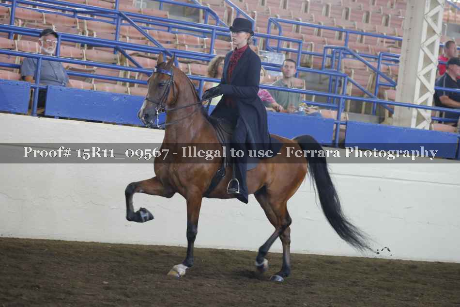 Proof 15R11_09567