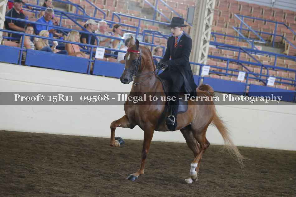 Proof 15R11_09568