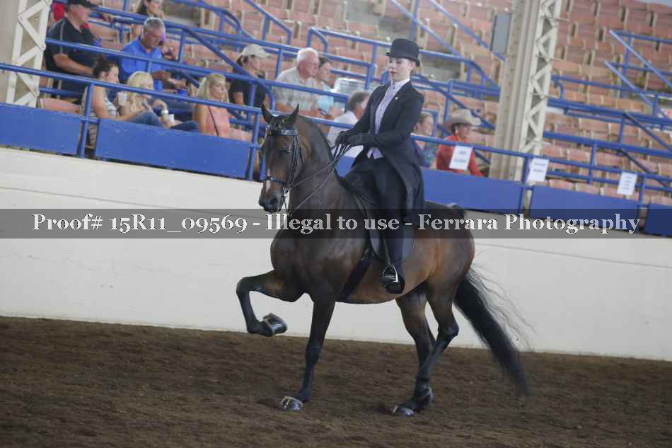 Proof 15R11_09569