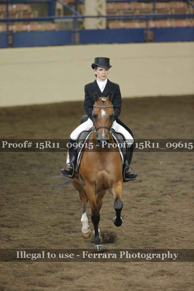 Proof 15R11_09615