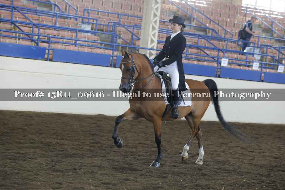 Proof 15R11_09616