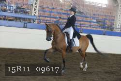 15R11_09617 proof