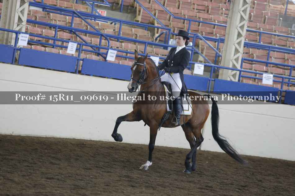 Proof 15R11_09619